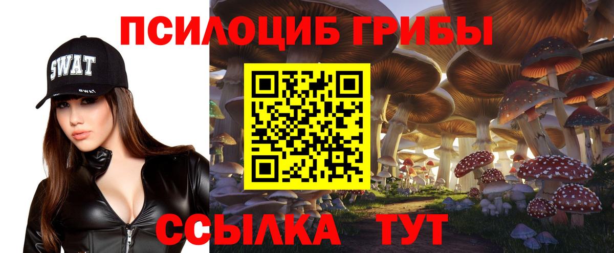 Галлюциногенные грибы Cubensis  Вход с VPN  Глазов 